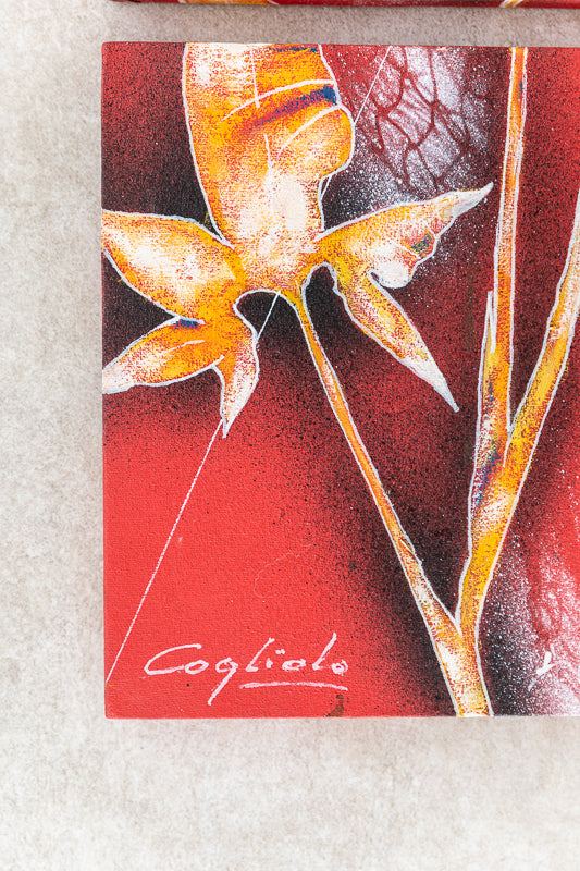 Serie Aregua (25x75cm) - Cogliolo