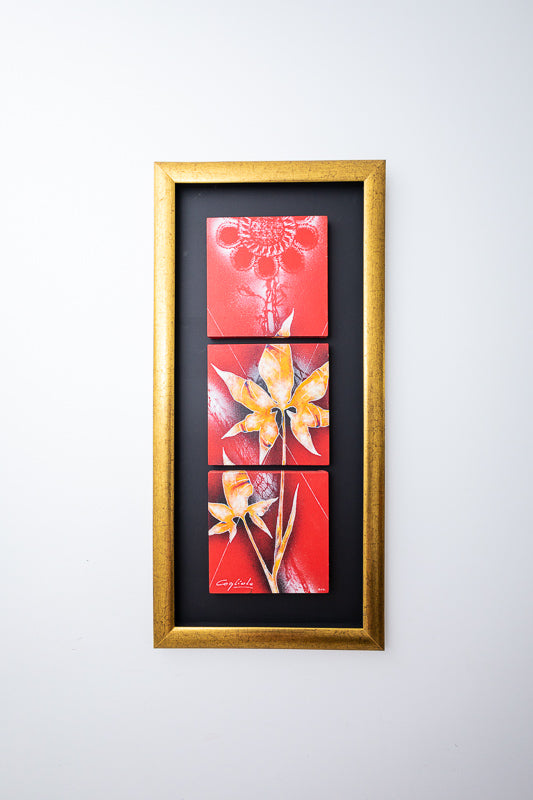 Serie Aregua Triptico enmarcado (102x50cm) - Cogliolo