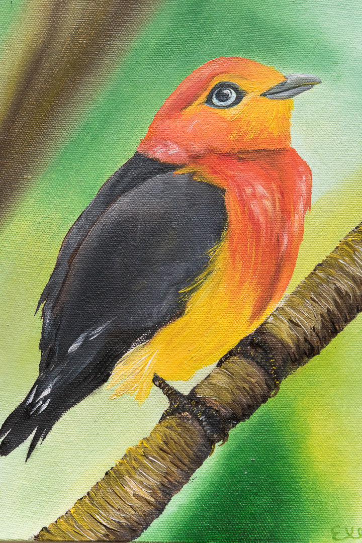 Cuadro-Evelyn-Pajaros-Bailarin-Rojo