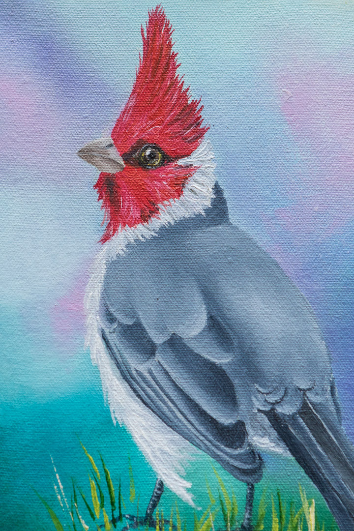 Cuadro-Evelyn-Pajaros-Cardenal