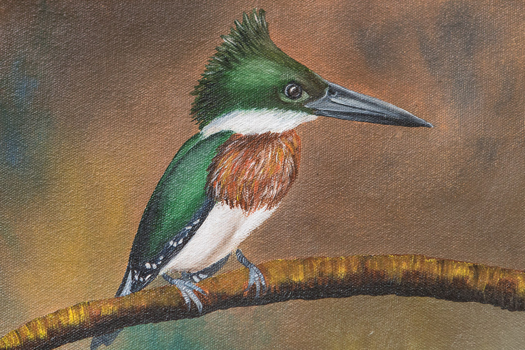 Cuadro-Evelyn-Pajaros-Martin-Pescador