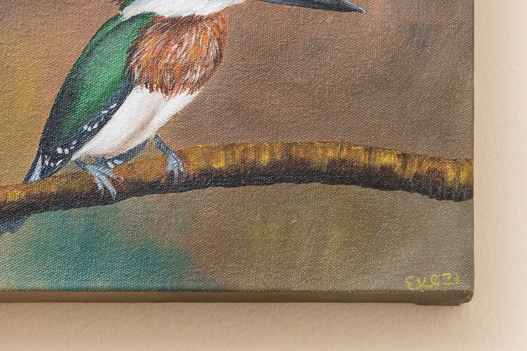 Cuadro-Evelyn-Pajaros-Martin-Pescador